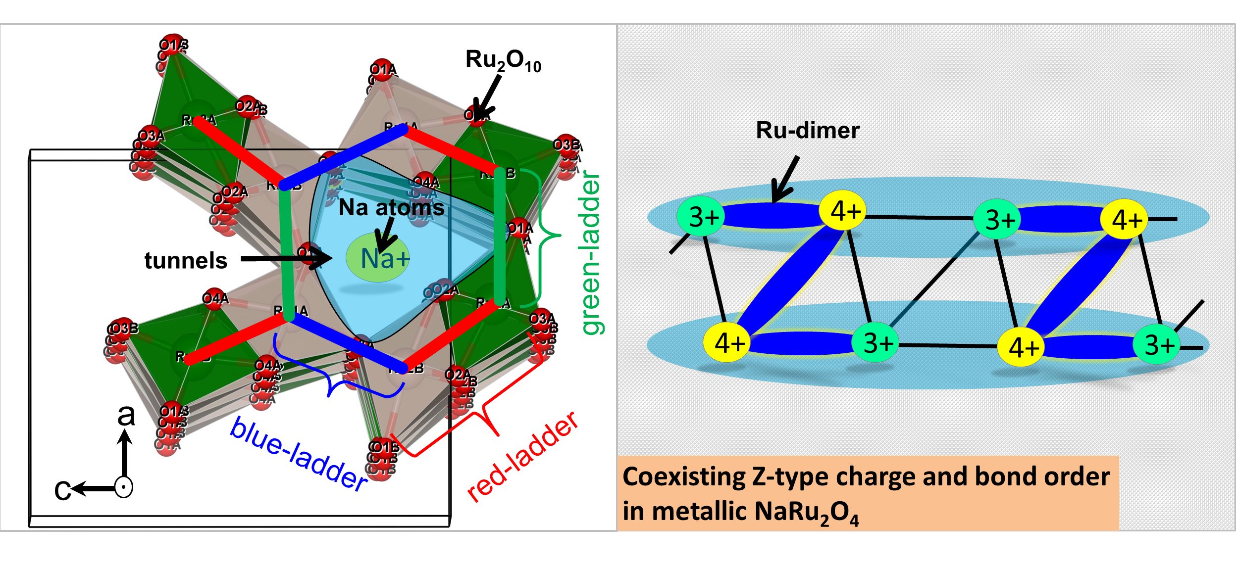 Crystal structure of the tunnel compound NaRu2O4 along with  the sketch of self-organized Z-order in the two-leg corner- and edge-sharing RuO6 zigzag ladders. 