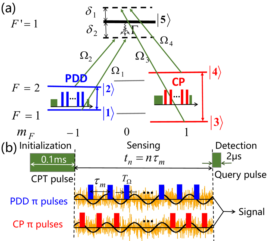Schematic of the quantum double lock-in amplifier via five-level double-$\Lambda$ coherent population trapping (CPT) in $^{87}$Rb.