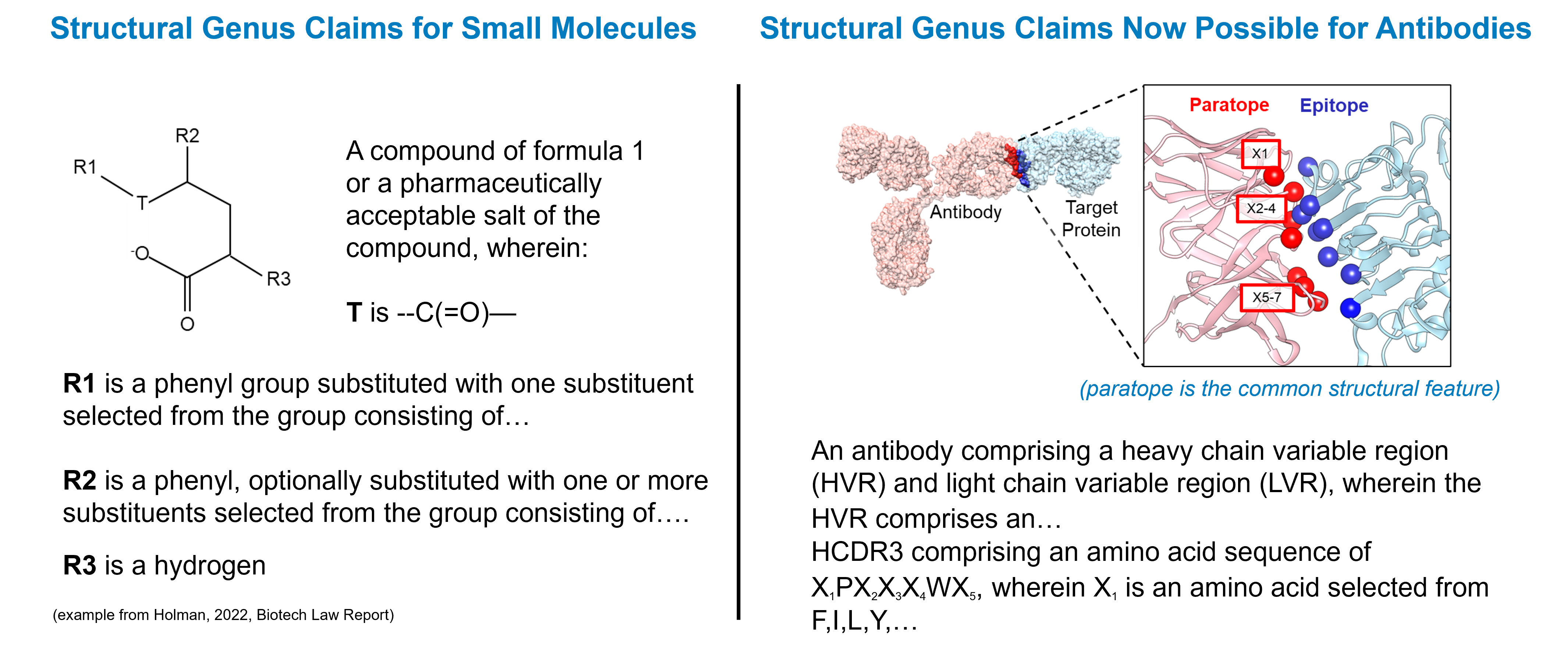 An illustration showing how structural genus claims can be constructed for both small molecules and antibodies. In both cases, a core scaffold structure is defined along with permissible substitutions that preserve the molecule’s function.