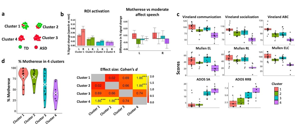 Figure 1. TD and ASD subgroups with distinct fMRI-clinical patterns. a, Similarity Network Fusion and Louvain algorithm revealed 4 fMRI-clinical distinct subgroups. b, The left barplot displays average percent signal change across language paradigms for each cluster. The right barplot shows differences in percent signal change between motherese vs moderate affect speech in four clusters. c, Social and language ability across TD and ASD clusters. Toddlers in TD clusters (Clusters 1 and 2) had significantly higher percentage fixation towards motherese versus non-social computer “techno” images and sounds than ASD Cluster 4 toddlers.