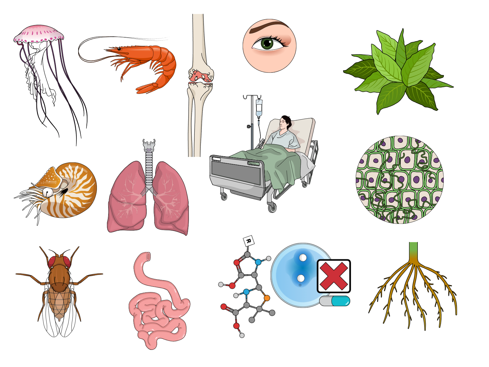 Ecological niches of oxylipin hijackers