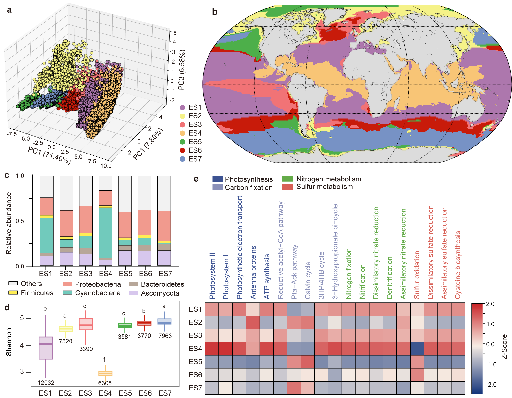 Ecological status of oceanic microbial communities in the surface ocean