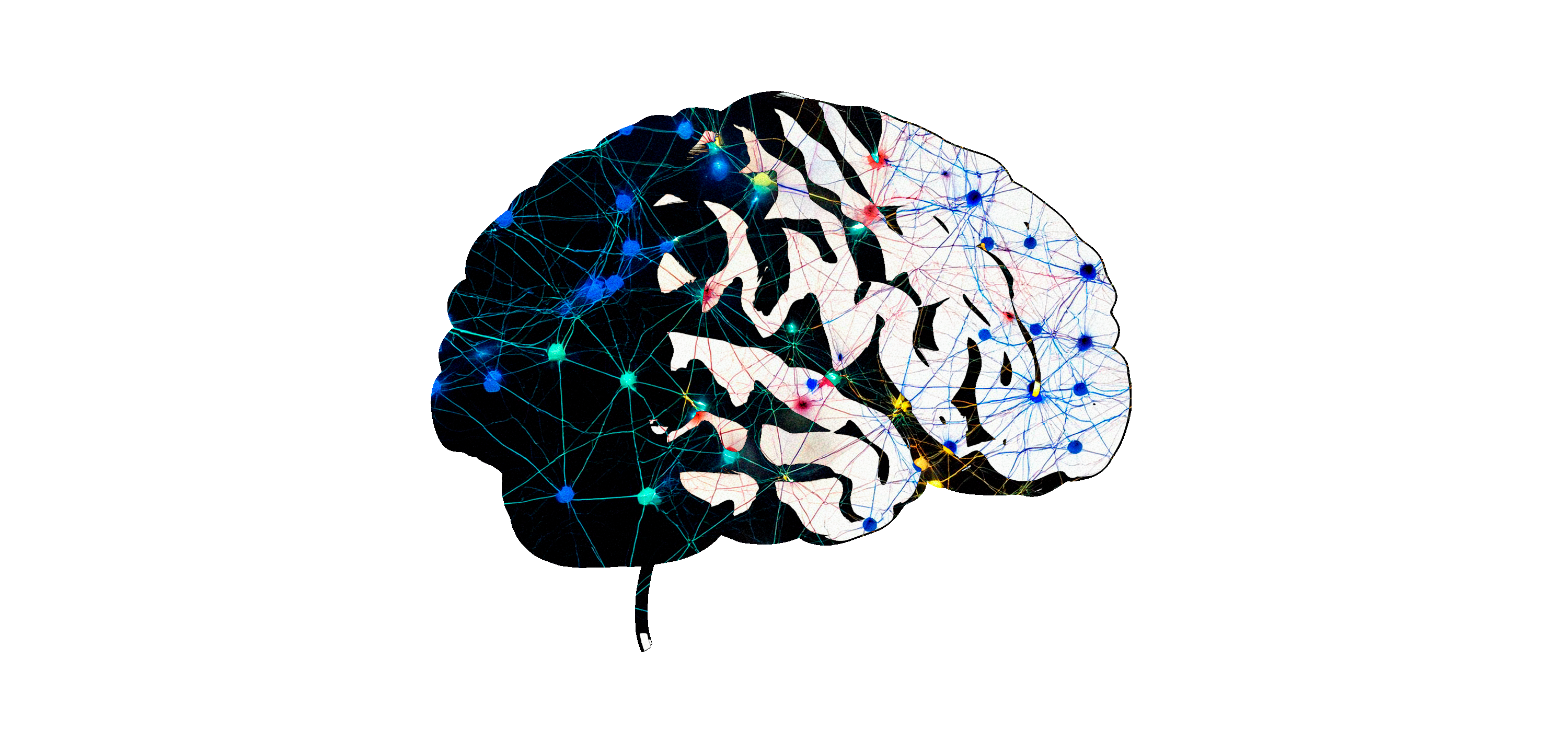 Simplified illustration of neurons activated at the same time.