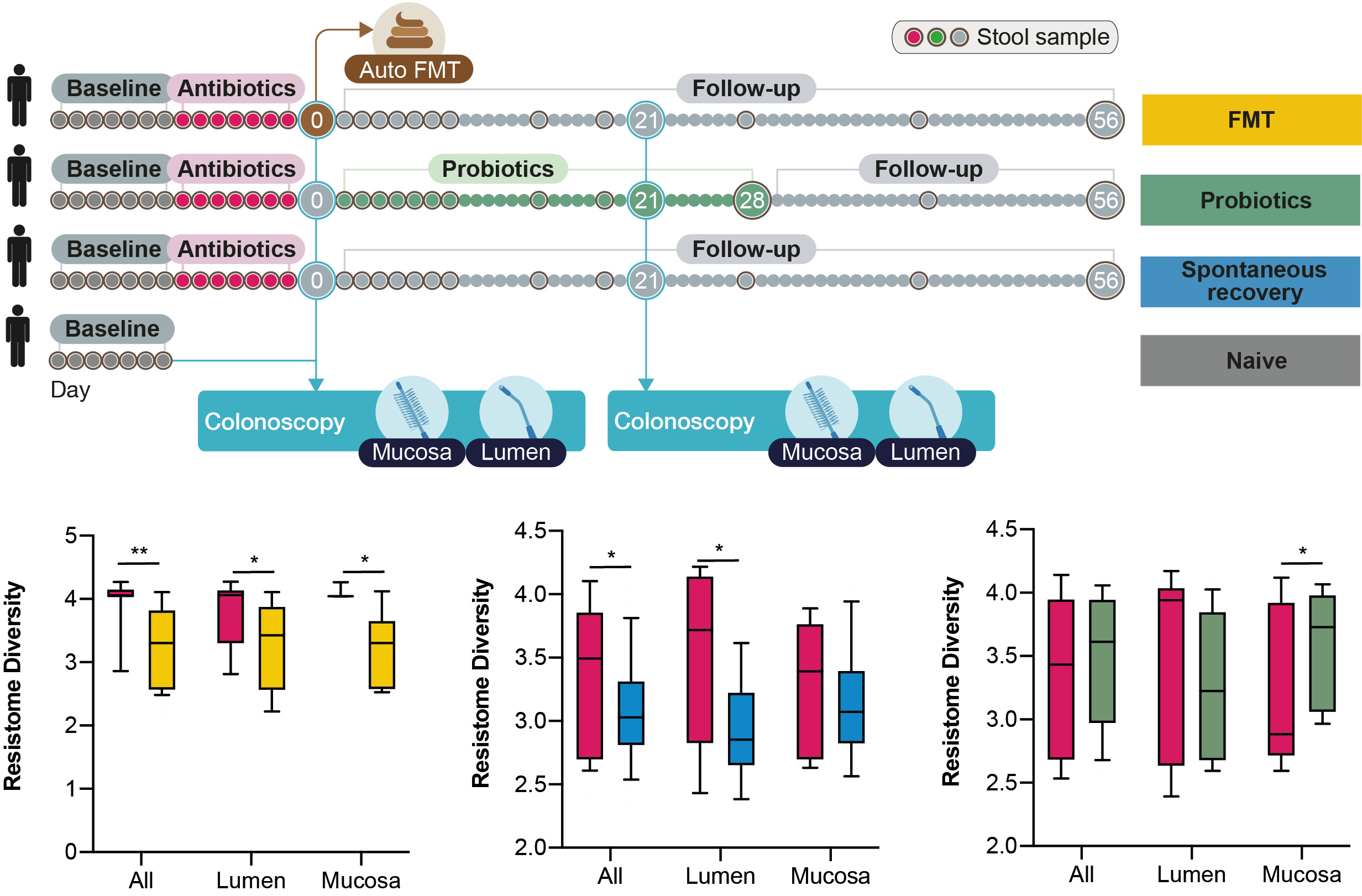 Probiotics expand the gut resistome post-antibiotics
