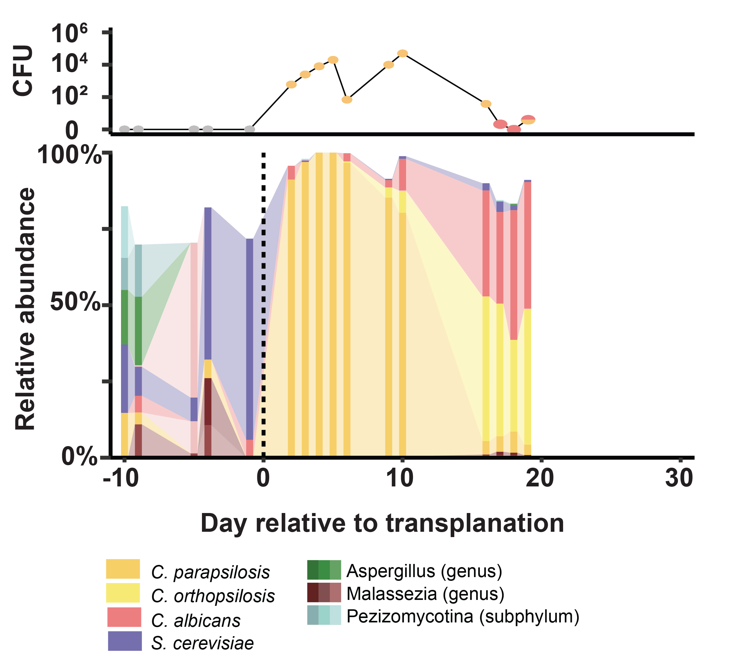 Example of one patient showing time course of the mycobiota and of fungal cultures