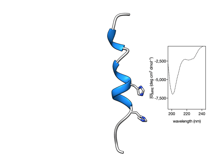 Circular Dichroism studies show that the α-helical content of the peptide αH-His2 can be switched. Circular Dichroism studies show that the α-helical content of the peptide αH-His2 can be switched. Circular dichroism of a 20 μM solution of αH-His2 (dashed line) and the spectrum 30 min after addition of 1 eq. of cis-PdCl2(en) showing the signature of an α-helix. Addition of the Pd(II) chelator DEDTC disassembles the helix, which results in reduction of the intensity of the CD spectrum at 208 and 222 nm.