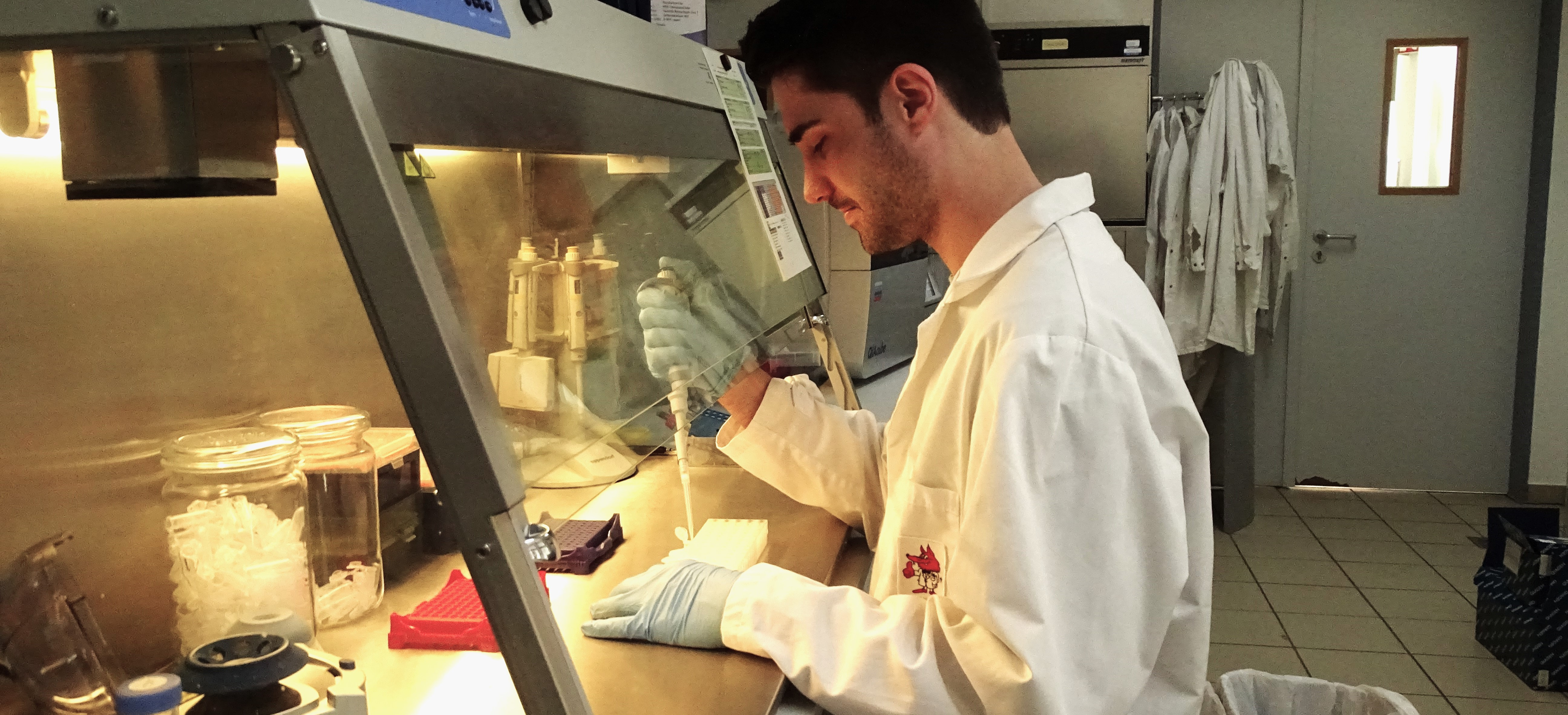 Optimisation of the 96× SNP panel with several marker subsets is the biggest challenge in the lab.