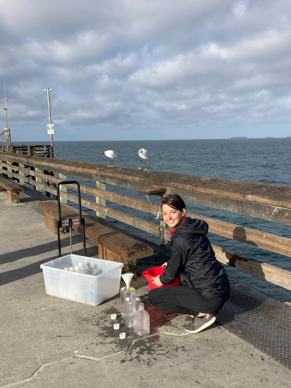 ormer Martiny lab graduate student Dr. Melissa Brock collects water samples at the Newport Beach Pier “MiCRO” time series site. Photo credit: Melissa Brock, UCSD