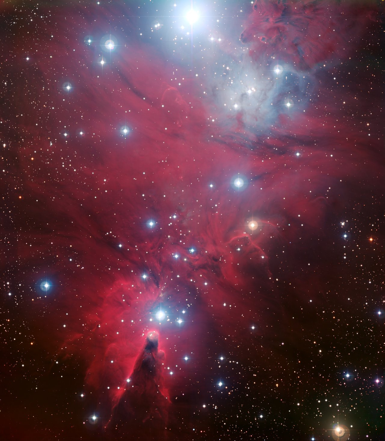 Image of known cluster, NGC 2264, in the Monoceros constellation.