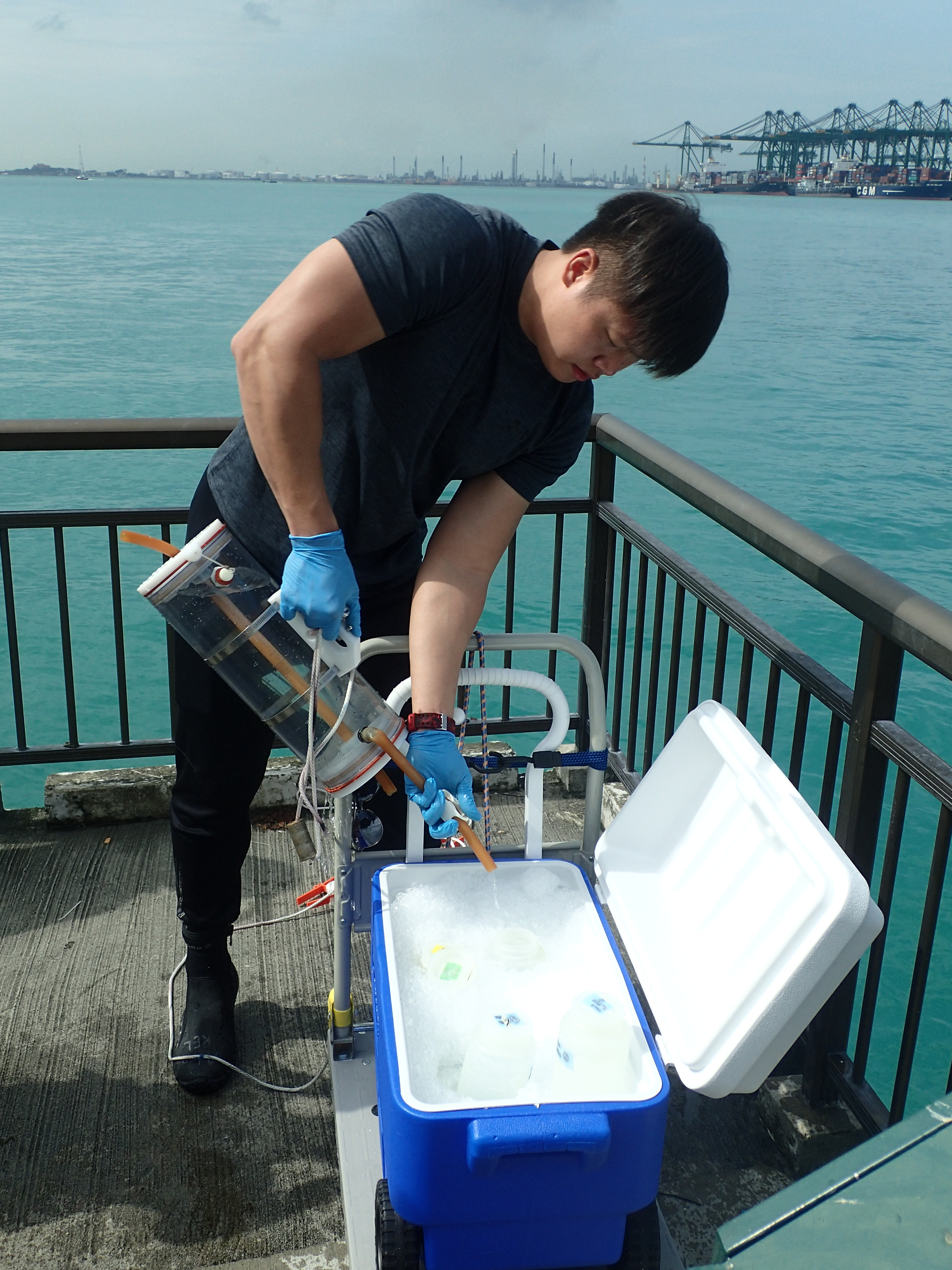 Aden Ip of the Reef Ecology Lab, National University of Singapore, collecting seawater for eDNA in 2018. This seawater contains trace DNA from sharks, rays, and many other organisms unbeknownst to us. Image credit, Marc Chang.