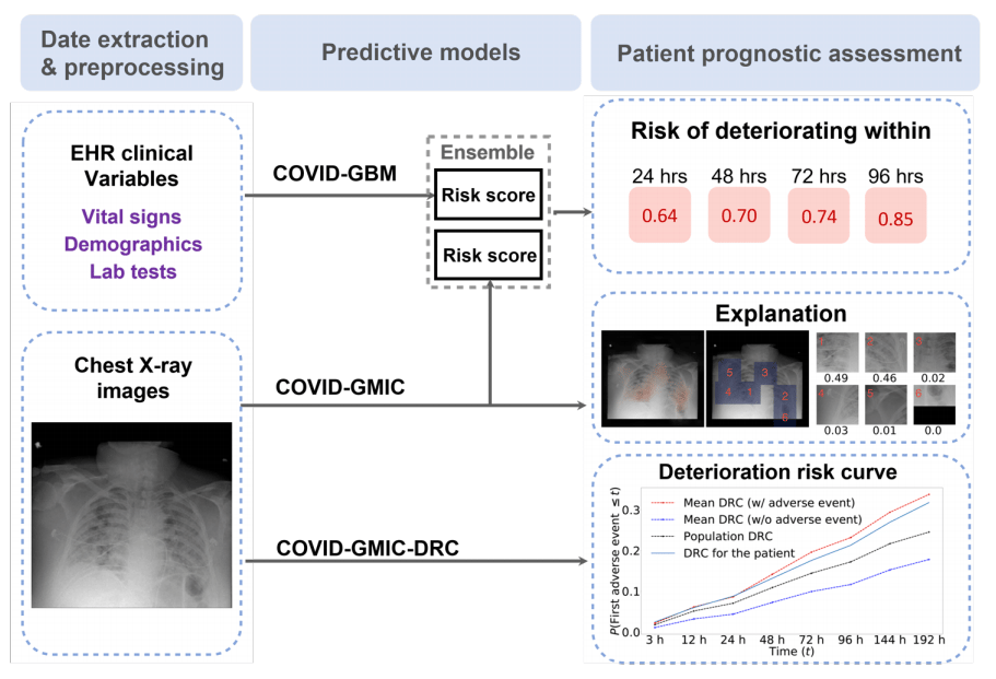 Overview of the AI system that assesses the patient’s risk of deterioration every time a chest X-ray image is collected in the ED. The system produces three types of outputs: (i) overall risk of deterioration within 24, 48, 72, and 96 hours using the multimodal average prediction of a deep neural network (COVID-GMIC) and a gradient boosting model (COVID-GBM), (ii) saliency maps for interpretability using COVID-GMIC, and (iIi) deterioration risk curves (DRC) using a modified version of the deep learning network (COVID-GMIC-DRC).