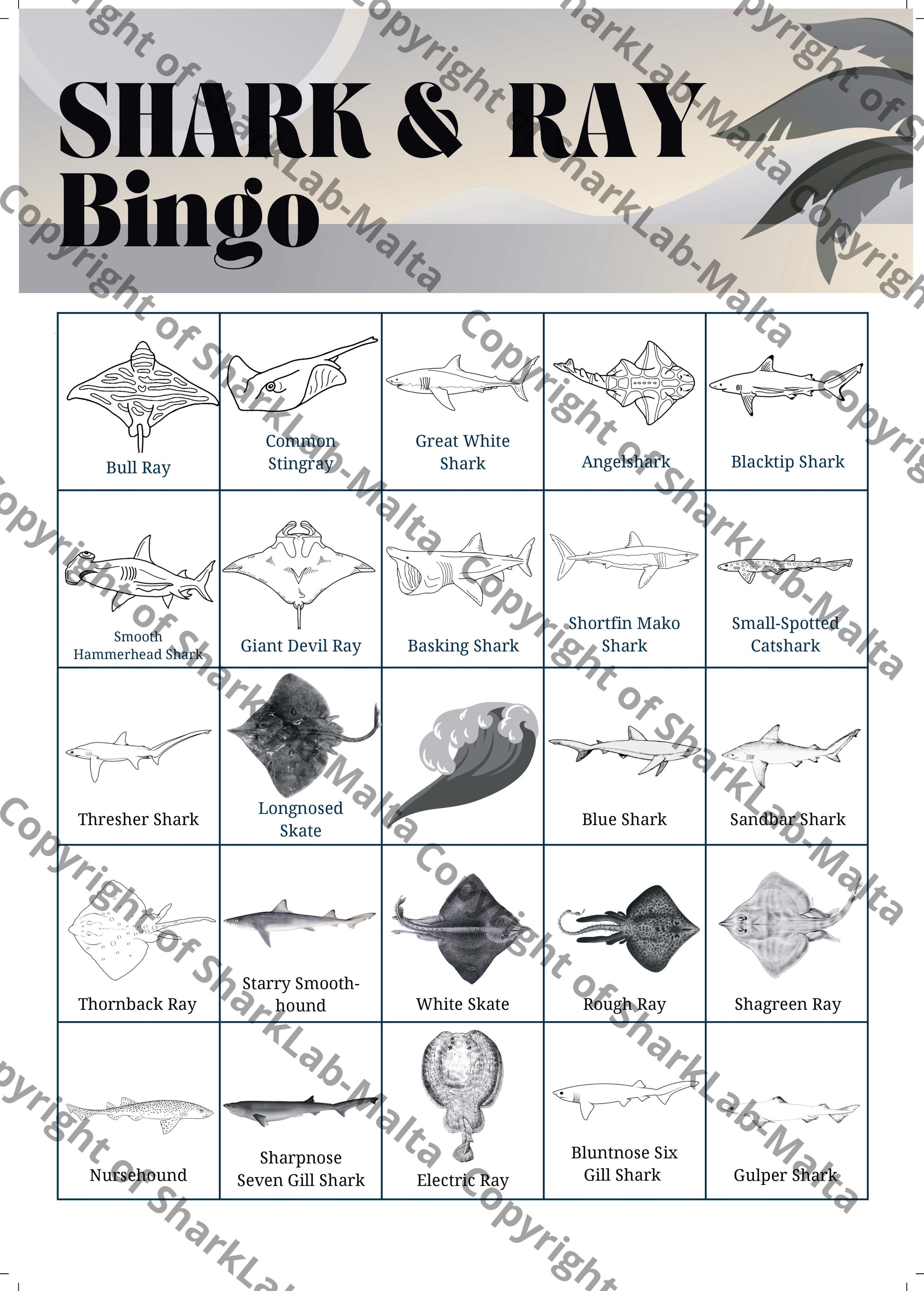 A bingo board with all of the numbers replaces with images of sharks and rays