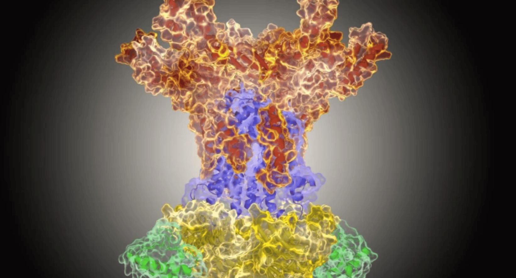 atomic structure of MlaBDEF