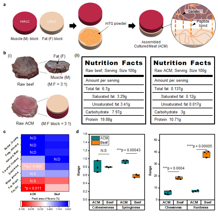 a Illustration showing the production process of ACM. b (i) Images of raw beef and raw assembled cultured meat (ACM) and (ii) the nutritional analysis of each group. c Heatmap of the flavors detected in the ACM and beef after grilling at 180 °C (n = 3 independent experiments, two-tailed t-test). N.D indicates not detected and N.S indicates non-significant. d Texture profile analysis comparing the factors that determine the food texture of each group after grilling at 180 °C (mean(□) ± SD, n = 3 independent experiments, two-tailed t-test). Source data are provided as a Source Data file.