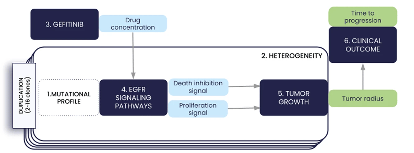 Structure of the ISELA model: the different submodels of the ISELA model are labeled and their connecting variables are represented in light blue. The two main model outputs are also represented (i) the biological one, corresponding to the radius of the primary tumor; (ii) the clinical one, corresponding to the time at which the tumor progressed in size, according to the RECIST (Response Evaluation Criteria In Solid Tumors) criteria.