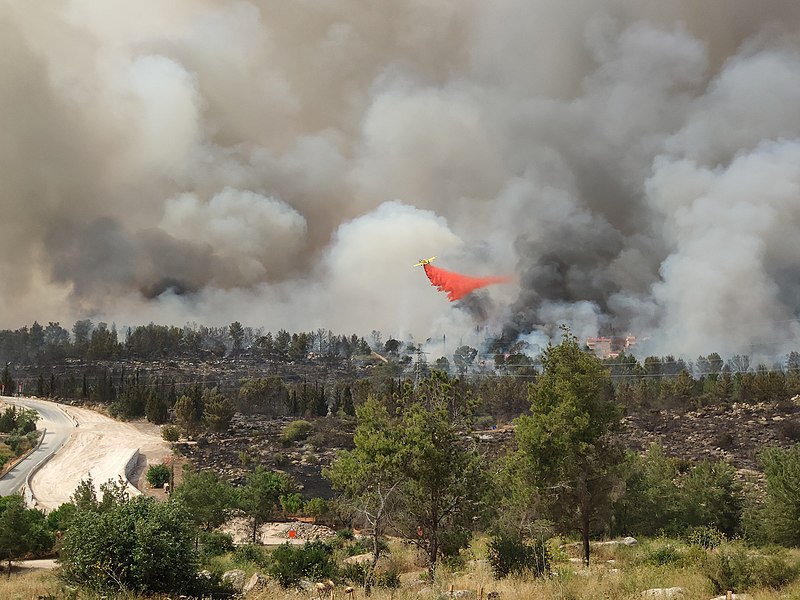 Fire in Mevo Modi'im May 2019
