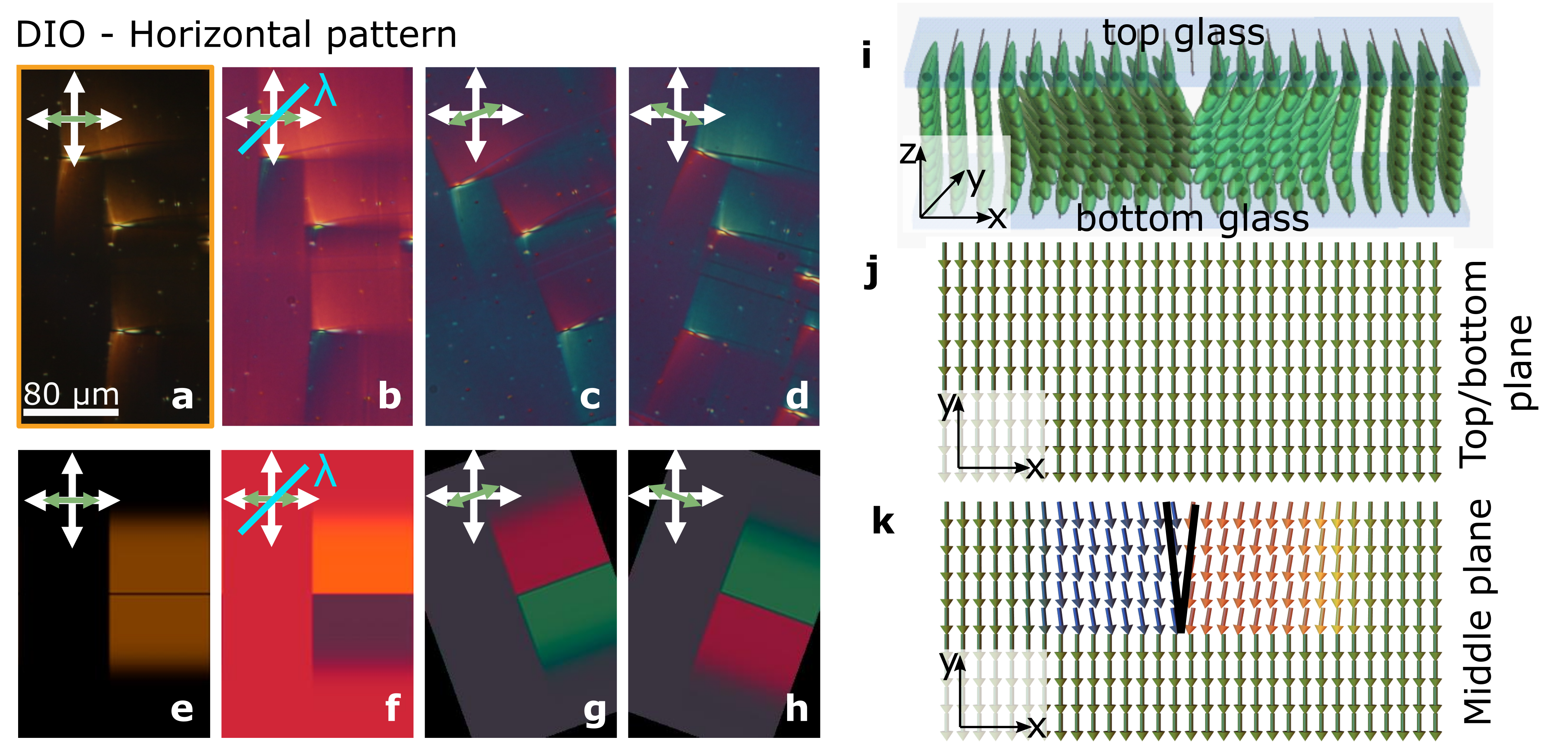 Dragonfly-like splay deformation due to charged defect lines