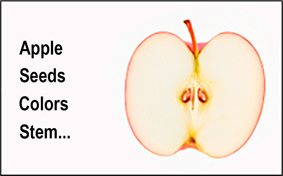 Sensory or textual information?