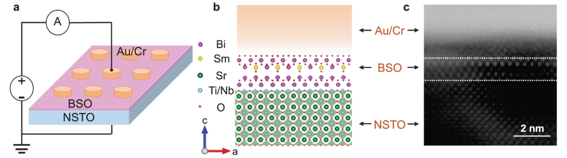 a) Schematic illustration of the FTJ structure. b) Atomic-level diagram of the Au (60 nm)/Cr (15 nm)/BSO (1 nm)/NSTO FTJ structure. While the Sm atoms are distributed randomly in the structure, we provide one possible BSO structure obtained from a previous study24. c) The HAADF-STEM image of a BSO film grown on NSTO substrate, with the BSO thickness of ~1 nm. 