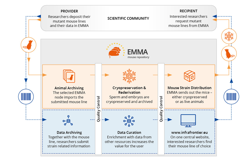 Diagram of EMMA as a scientific broker