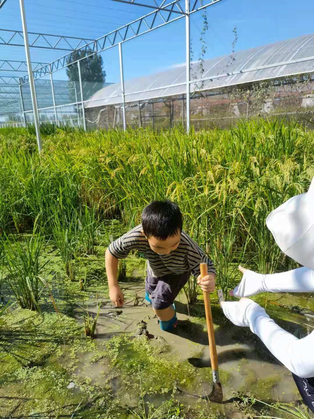 My son and I were in the open field