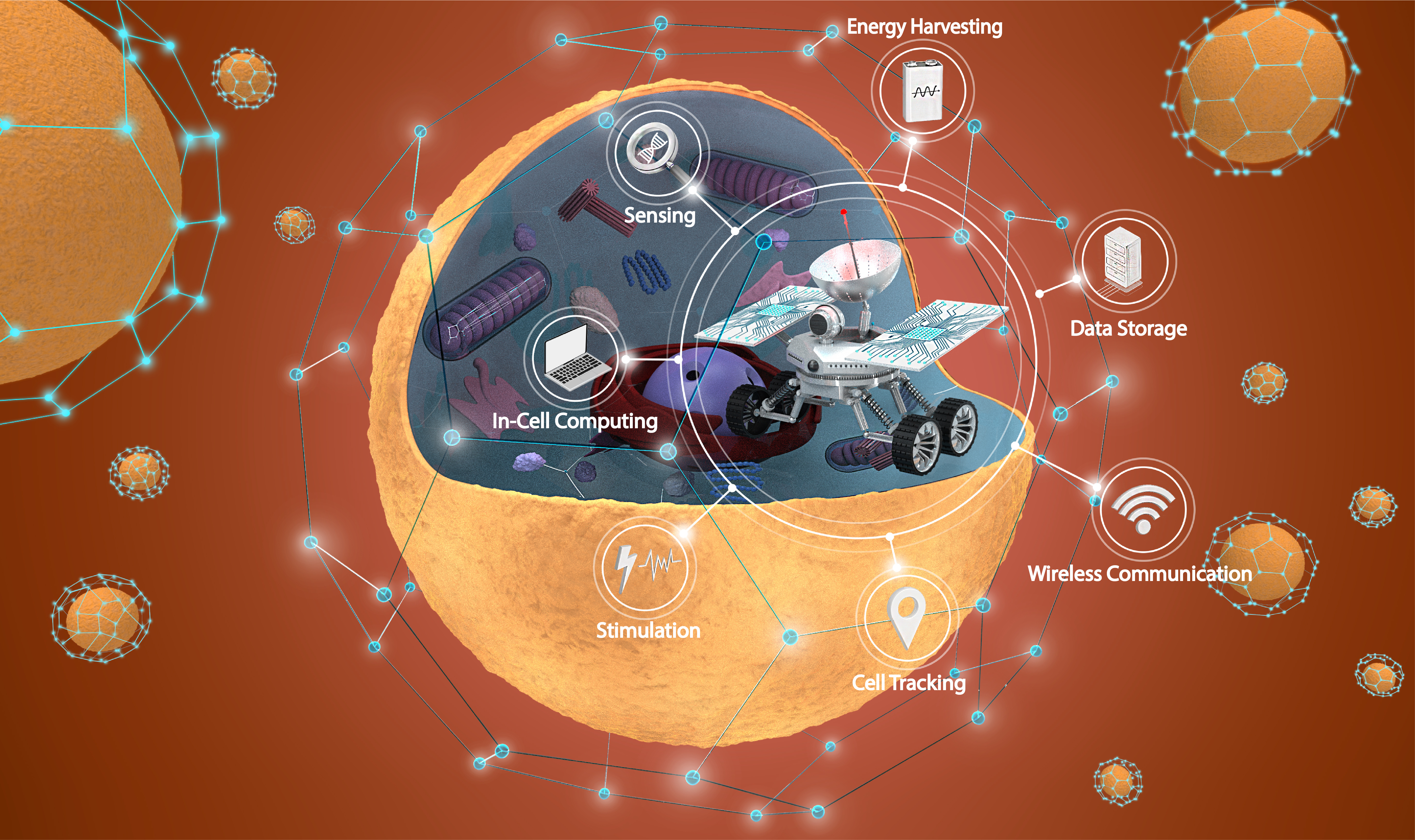 Fig. 1. Schematic representation of Cell Rovers