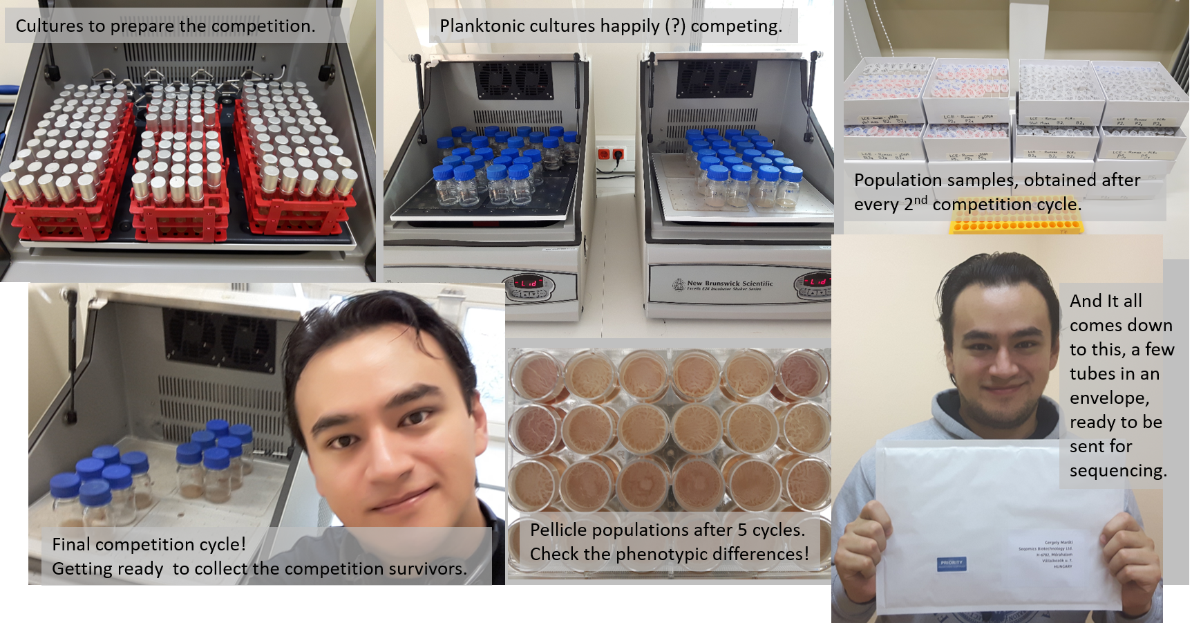 Running the competition