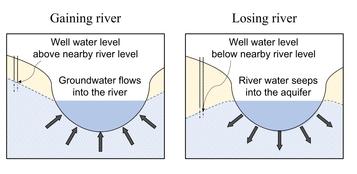 Conceptual model of gaining (left) and losing rivers (right) based on hydraulic head differences between the stream and the underlying aquifer. 