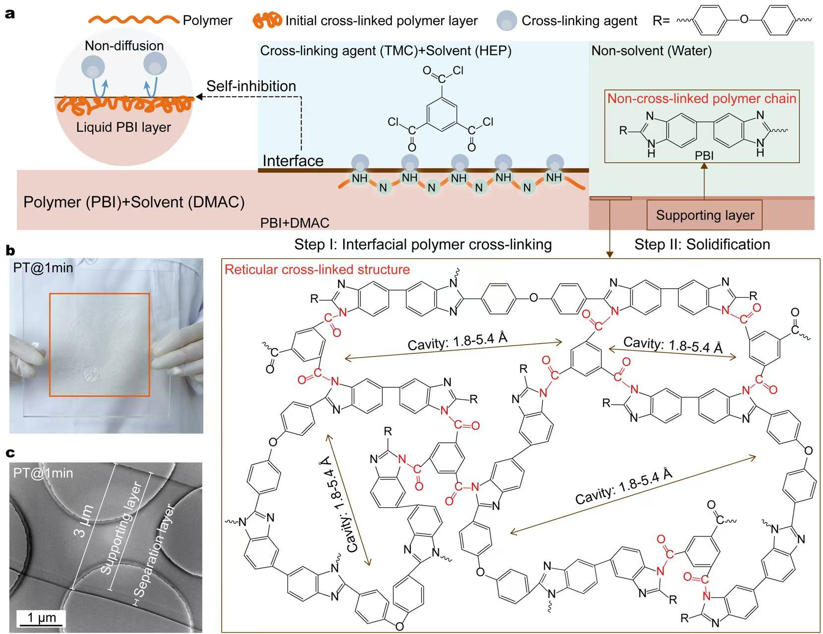 Fig. 1. Fabrication route and structure of the 3-μm-thick polymeric membranes.