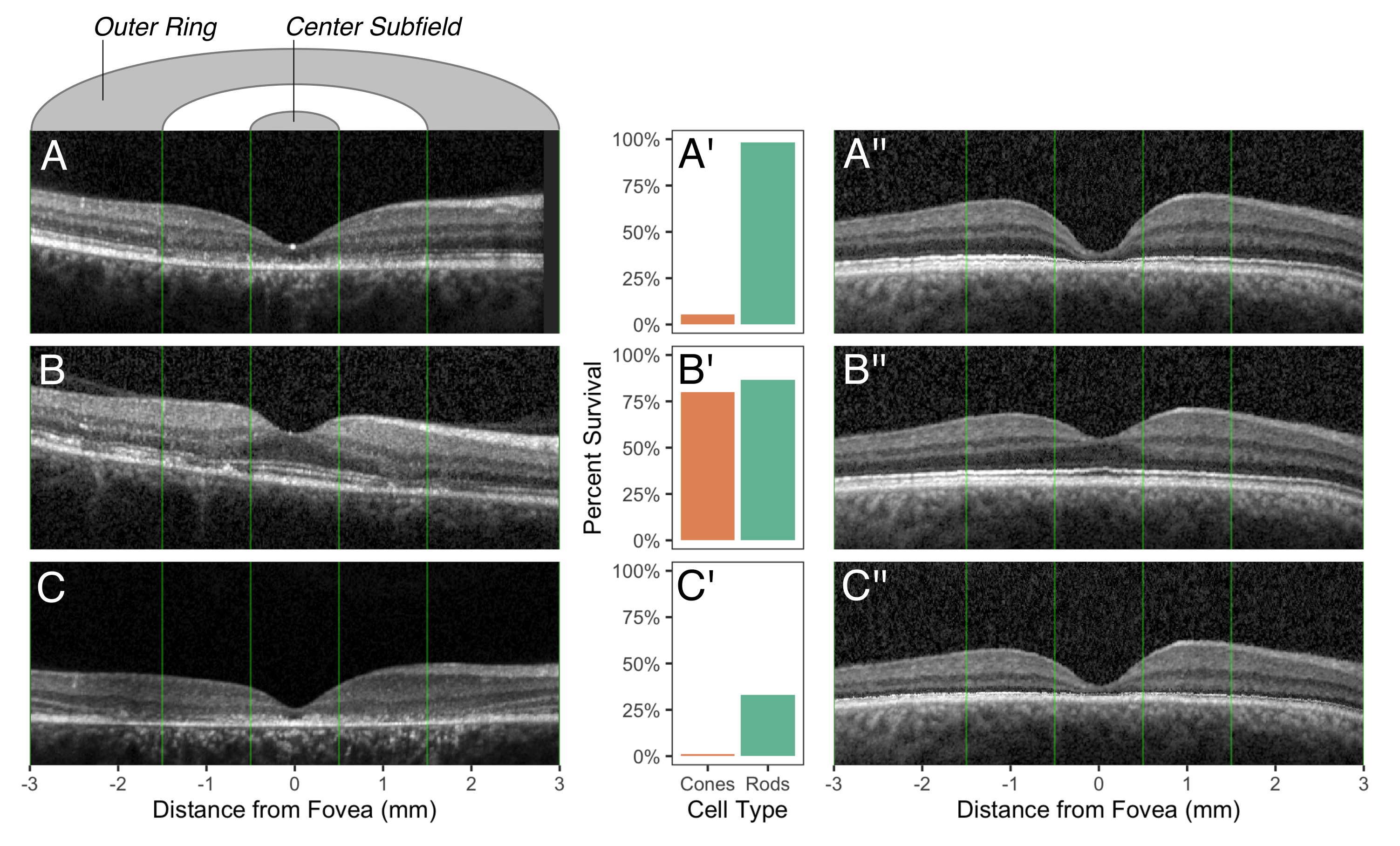 Figure 4 from Whitmore et al. 2023