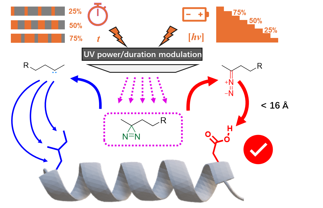 BLOG Figure 1 BLOG Figure 1