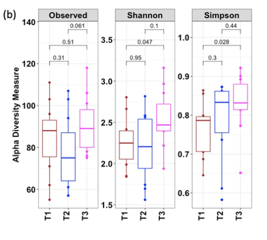 Alpha diversity measures of the fecal and oral microbiome. Timepoint variations in the alpha diversity measures of (a) fecal and (b) saliva samples. Pairwise-Wilcox test was performed to assess the significant difference in the alpha diversity parameters over time.