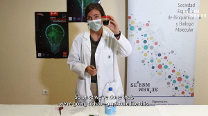 Screengrab of video from SEBBM chromatography workshop for the European Researchers Night 2021