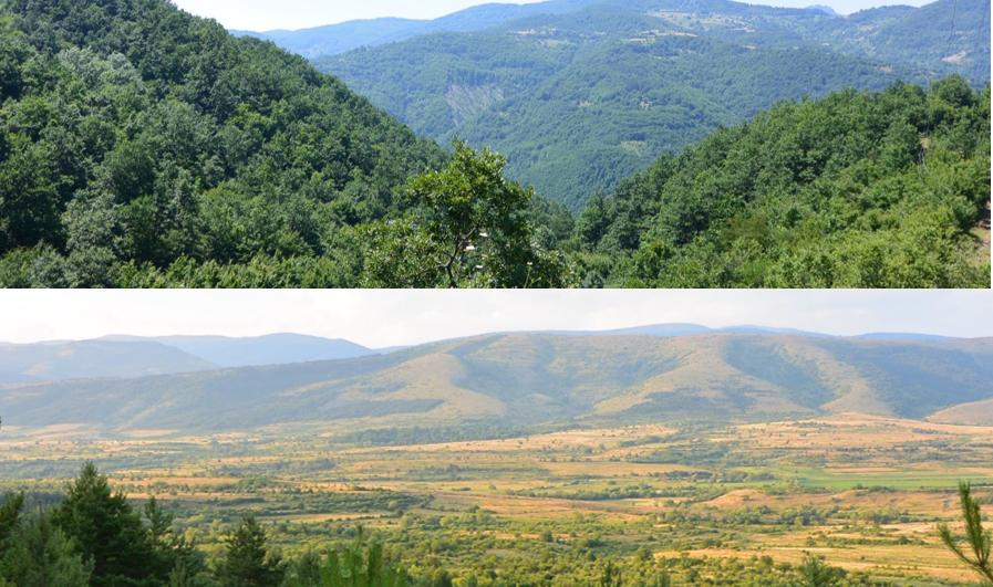 Photos by Raphael Portmann