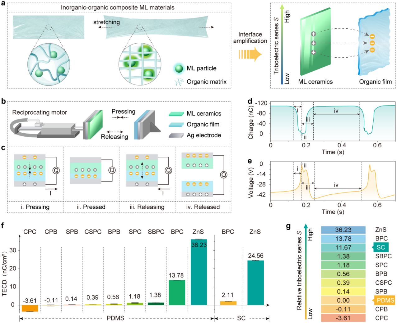 (a) Schematic illustration of the inorganic@organic composite ML material, highlighting interfacial movements between inorganic (ML particles) and organic (polymer matrix) phases under mechanical deformation, as well as electron transfer in the interface-amplified system.  (b) Schematic of the triboelectric series measurement system for ML materials, based on a triboelectric nanogenerator (TENG).  (c) Illustration of a complete mechanical action cycle, depicting different contact states and charge transfer stages.  (d) Example of TECD (Triboelectric Charge Density) testing, showing charge variations between BPC and PDMS during compress-release cycles.  (e) Voltage variation during the compression-release cycle.  (f) Measured TECD values of inorganic (top) and organic (bottom) phases under the same mechanical conditions.  (g) Computed relative triboelectric series (S values) based on (f) and Equation (2), where the triboelectric series of PDMS is set as the reference (S = 0).