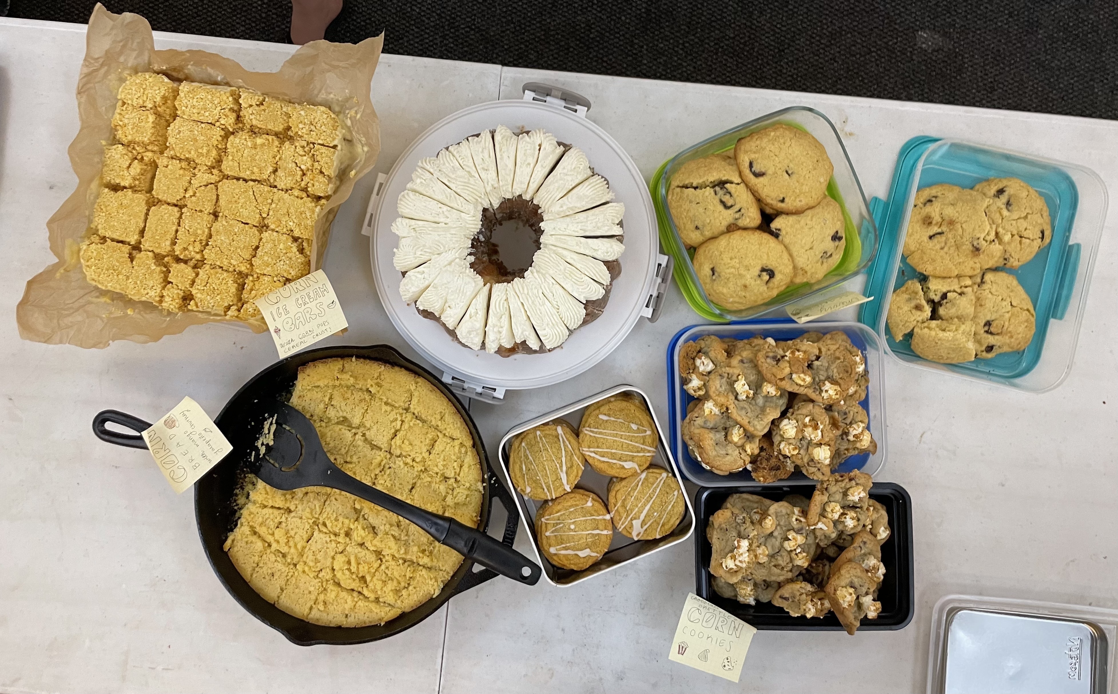 Baked goods from the Chazot lab at Northwestern University  