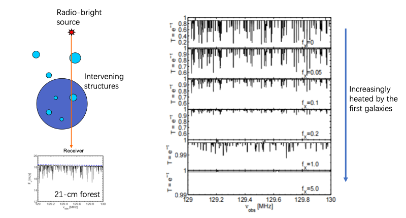 Fig.1 – Left: an illustration of 21-cm forest signals produced by various structures along a line of sight towards a background source. Right: the effect of heating, parameterized by fX, on the transmission of 21-cm photons (Xu et al. 2011).
