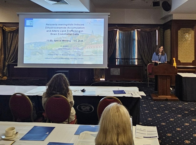 Photo from the audience showing Alina at the podium giving her research talk.