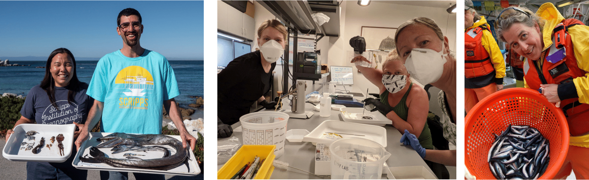 Collaborators involved with the Pelagic Species Trait Database by Gleiber et al. (2024) and Dr. Stephanie Green's lab at the University of Alberta