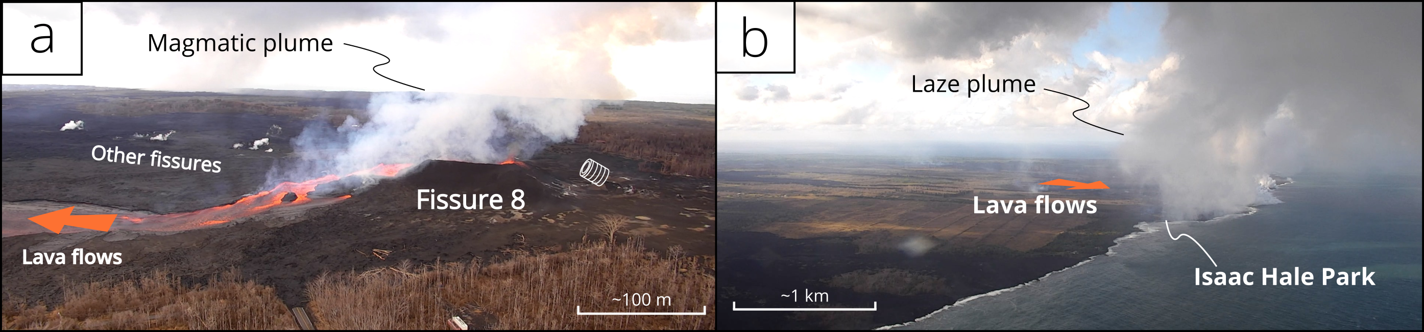 The mixtures of gases and particulate matter emitted from the magmatic vent (Fissure 8) and in the laze plume, which is created at the coast where lavas boil and evaporate seawater.
