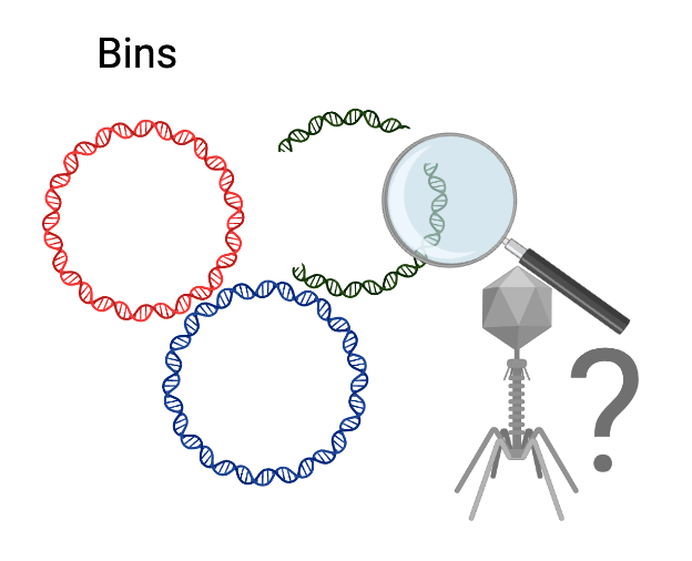 Bins with a phage picture and a magnifying glass