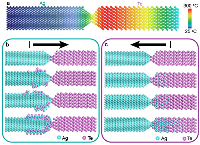  a, Schematic image showing the temperature distribution in the Ag-Te system. b, c, Schematic diagrams showing the formation process of Ag2Te-Ag core-shell structure and Ag2Te-Te axial segmented heterostructure.