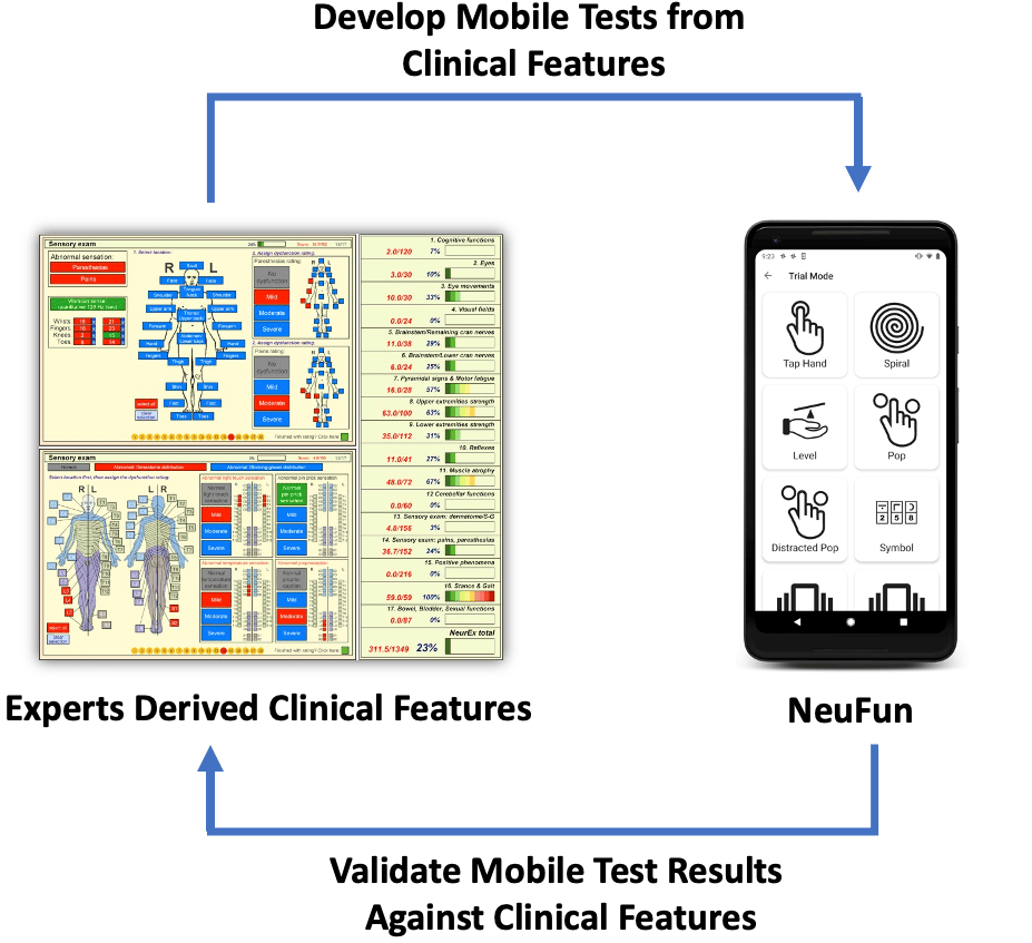 A diagram showing that NeuFun was developed from neurological exam components and validated against them. 
