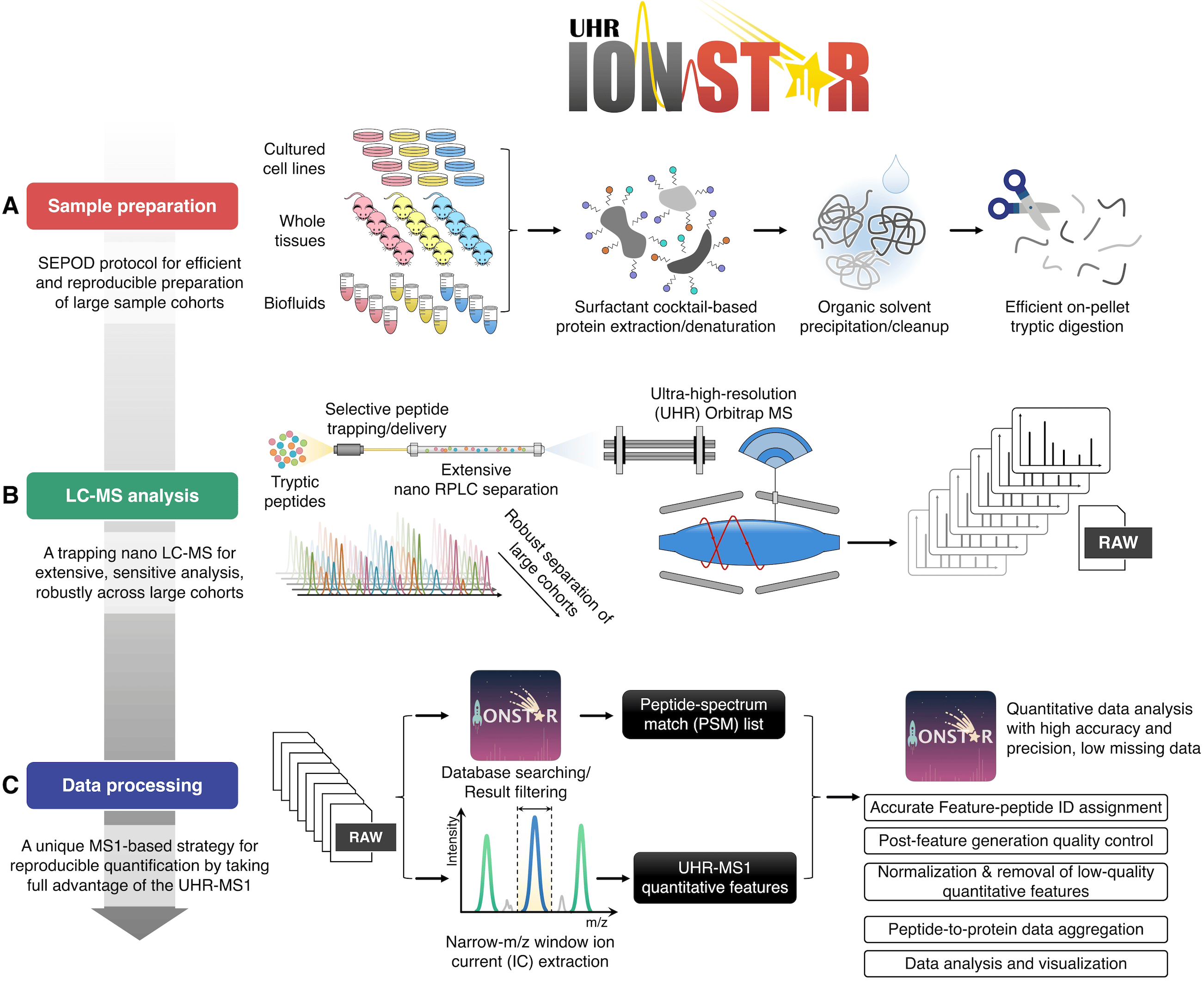 Figure 2. The scheme of the IonStar protocol.