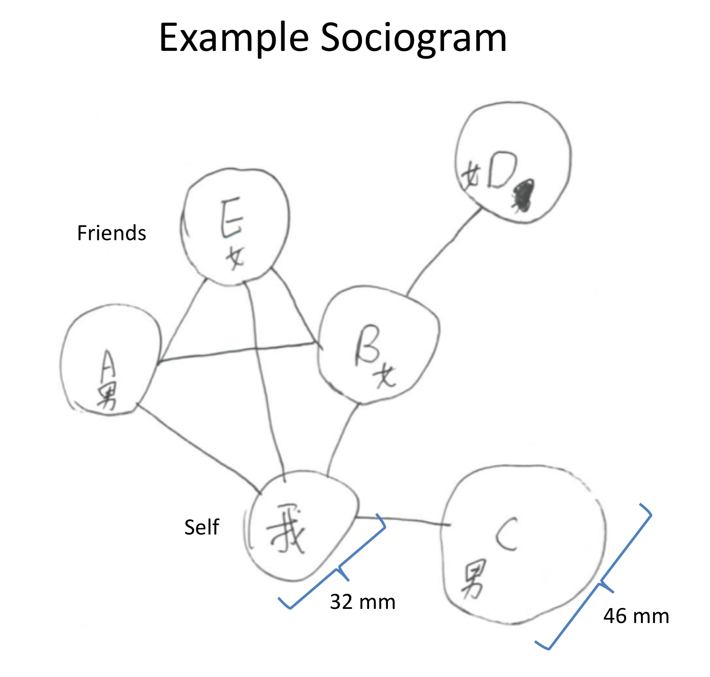 A sample of the sociogram task, which asks people to draw circles to represent the self and friends