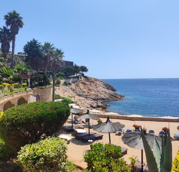 Photo of the sea, plants and sun loungers, taken from above.