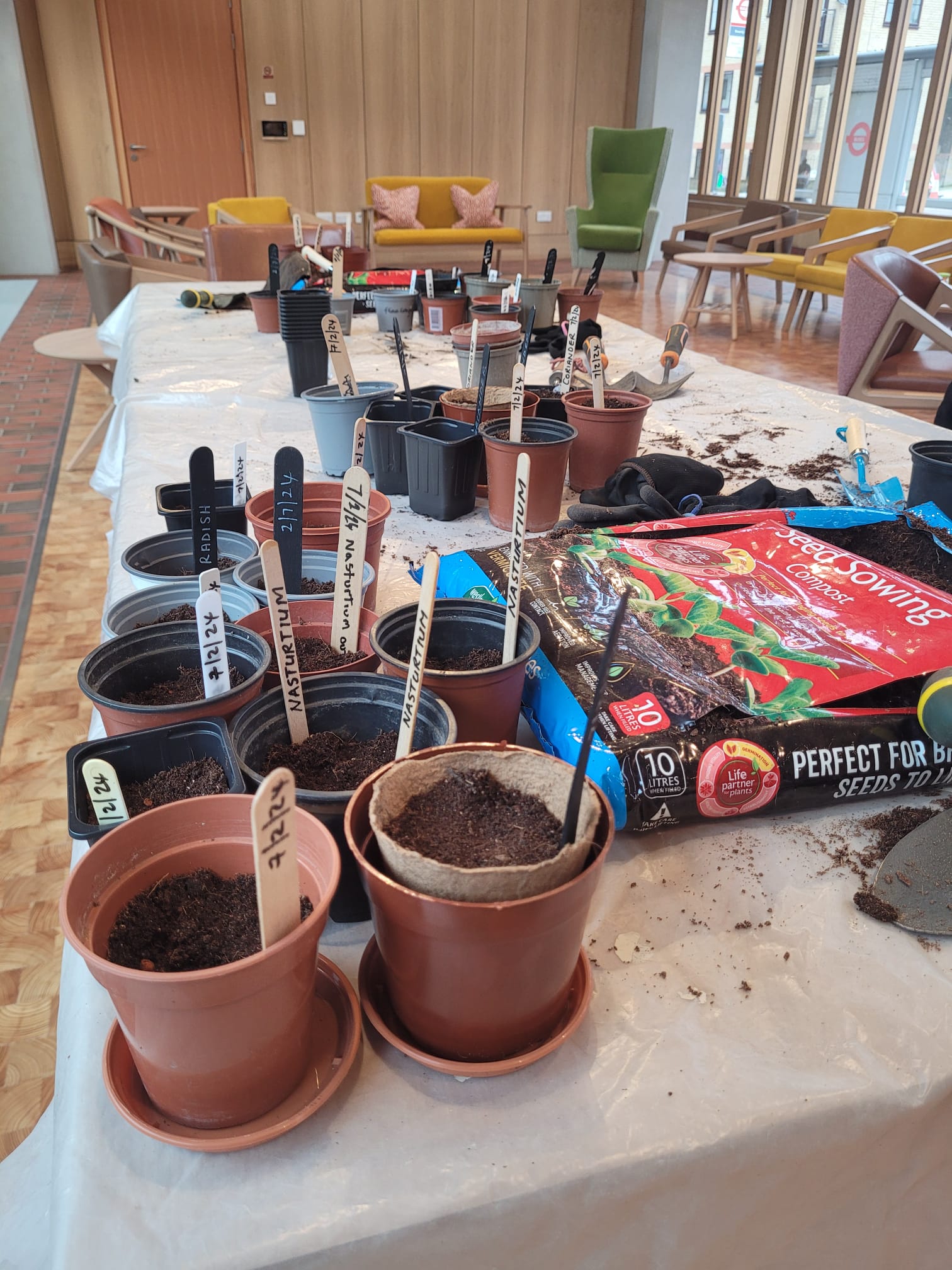 LEMONADE project gardening session