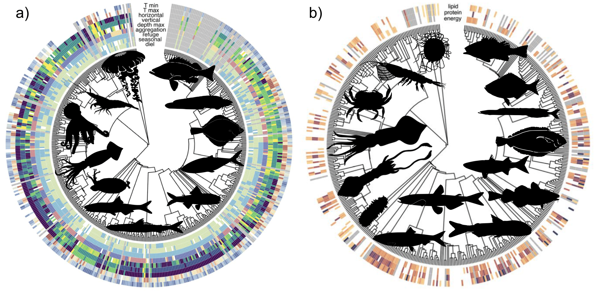 Coverage of traits for ocean species in Pelagic Species Trait Database by Gleiber et al. (2024)  and Dr. Stephanie Green's lab at the University of Alberta