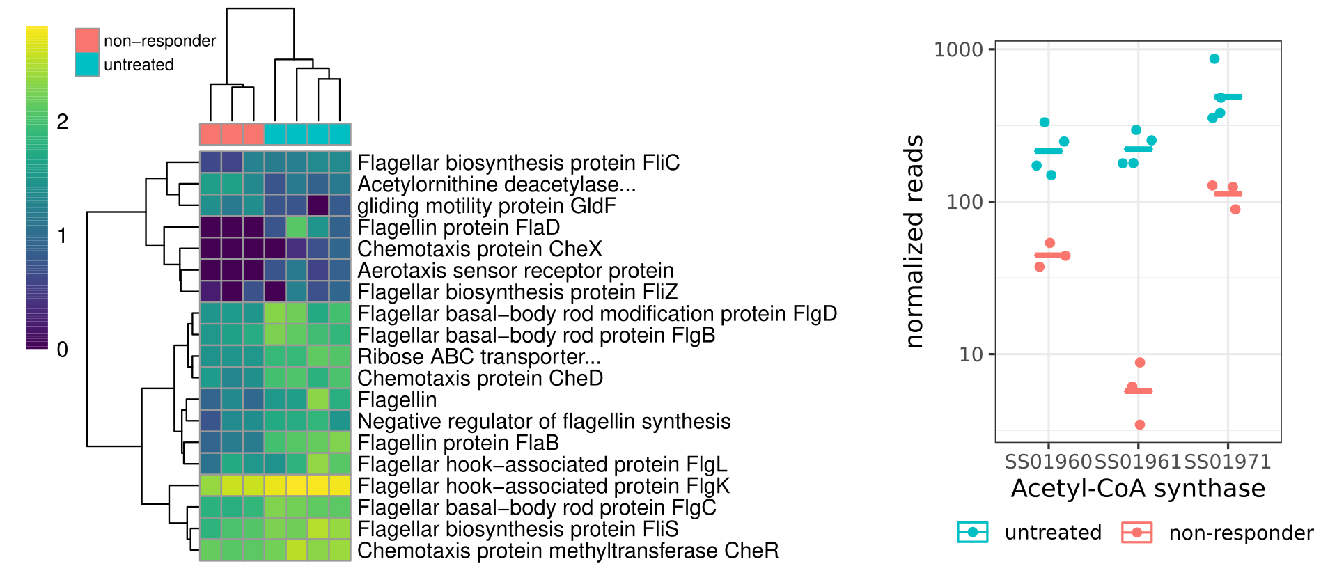 Figure 2 Non-responders down-regulated their motility and rerspiratory genes to deviate energy into defense mechanisms.