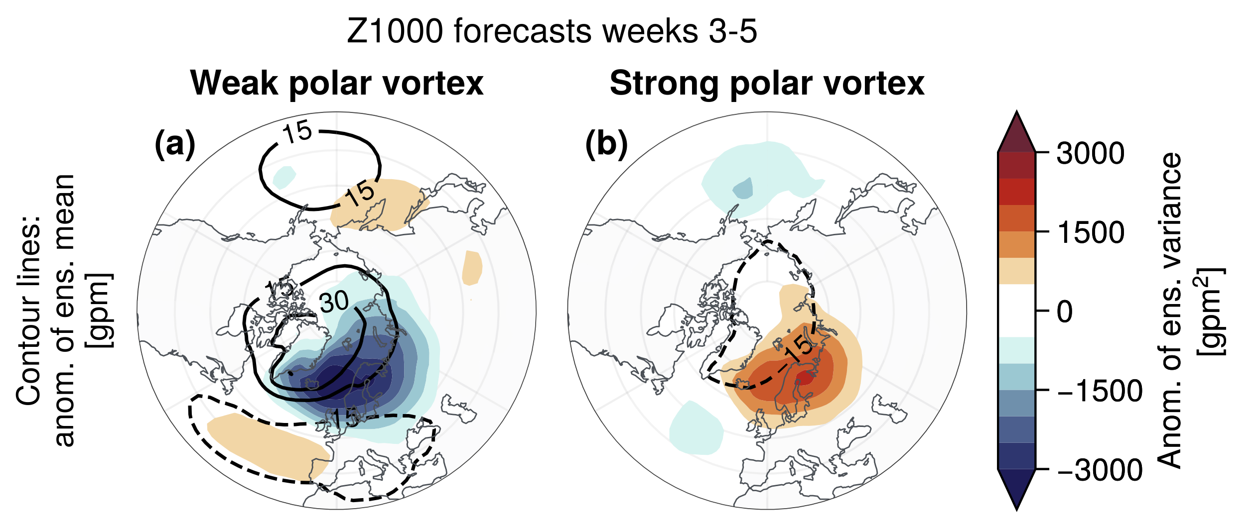 The impact of weak and strong polar vortex states on Z1000 forecast uncertainty